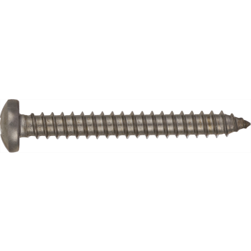Blechschraube mit Flachzylinderkopf INOX